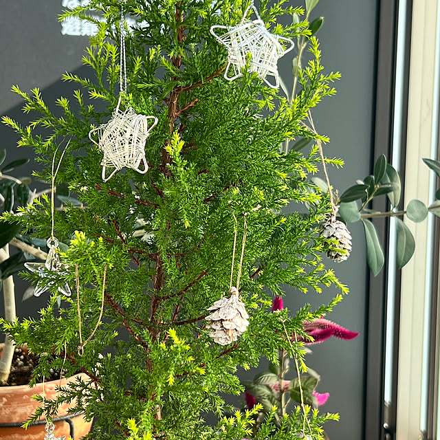 ponme33さんの部屋