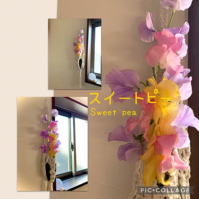 m.mさんの実例写真