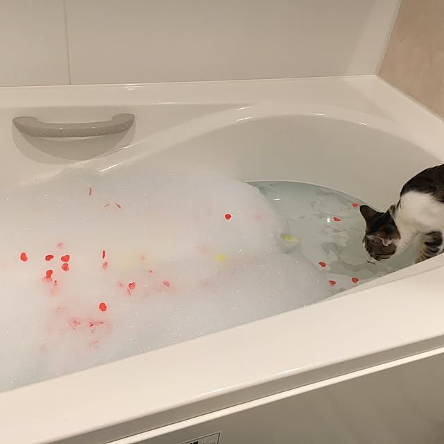maririnさんの実例写真