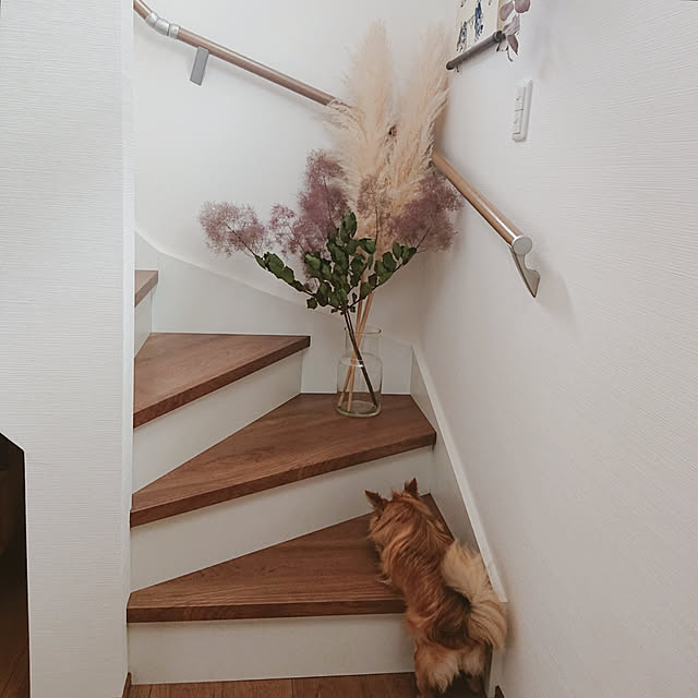 tomoさんの実例写真
