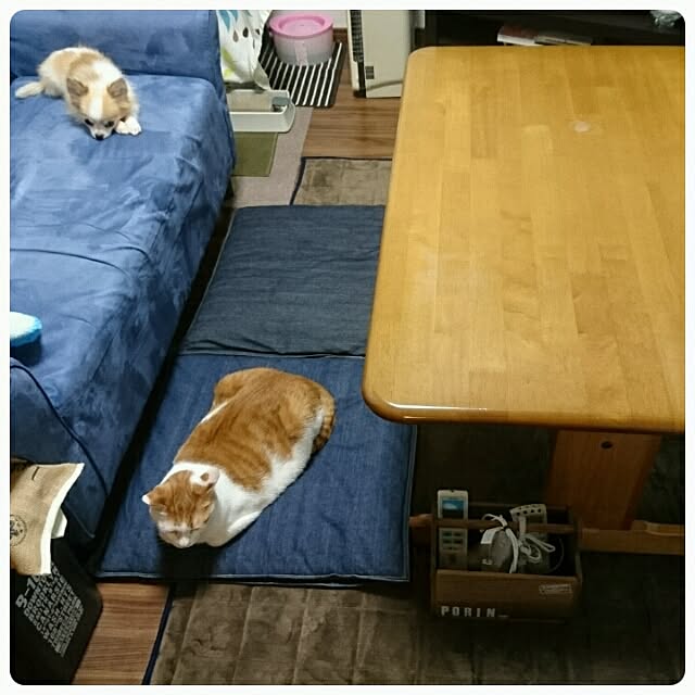 porinさんの実例写真