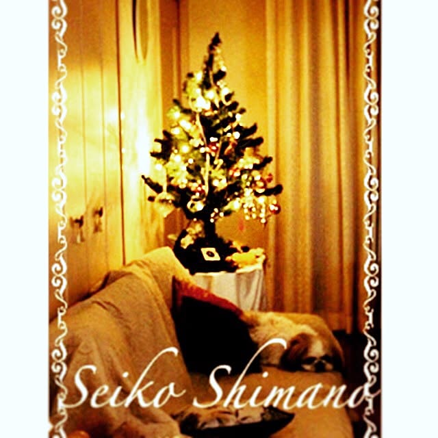 seiko.shimanoさんの実例写真