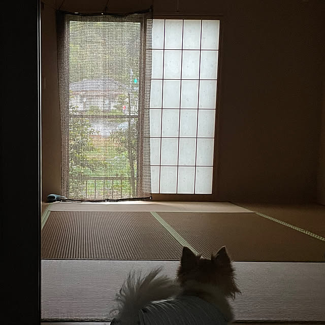 natsumiさんの実例写真