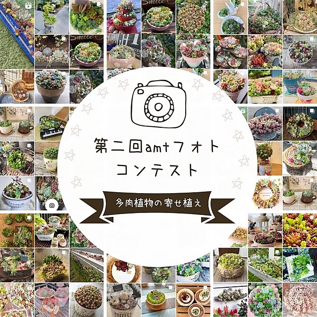 amtさんの実例写真