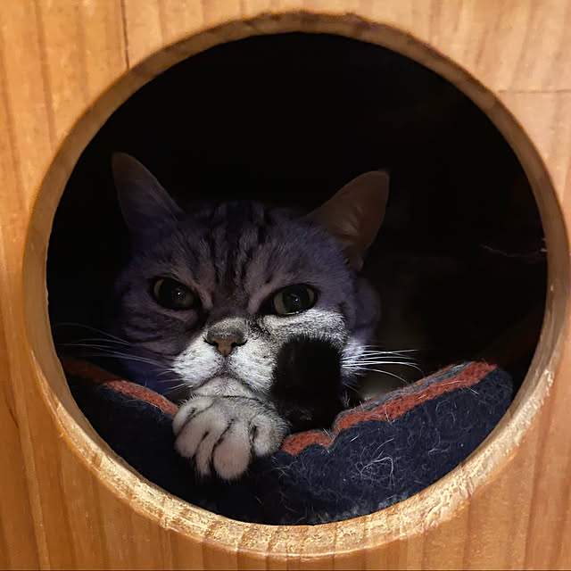 fuku48さんの実例写真