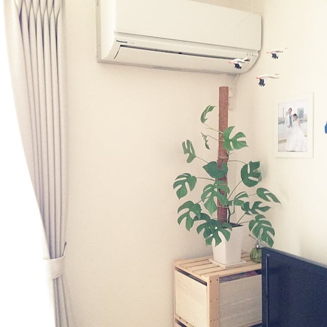 lionさんの実例写真
