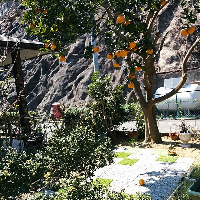 hiroさんの実例写真