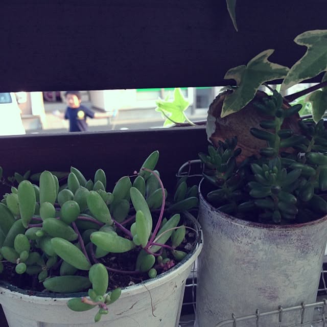 Nanaさんの実例写真