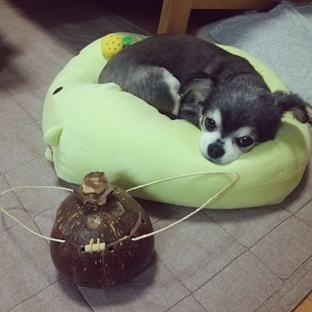 satominさんの実例写真
