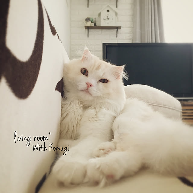 luna.comさんの実例写真