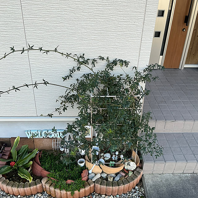 chiiyanさんの部屋