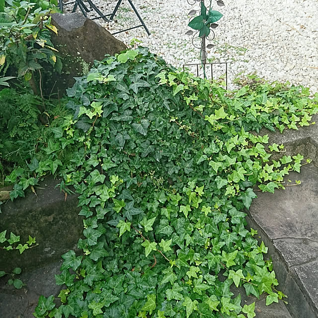 uchizukonyanさんの実例写真