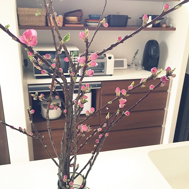 umeko.さんの実例写真