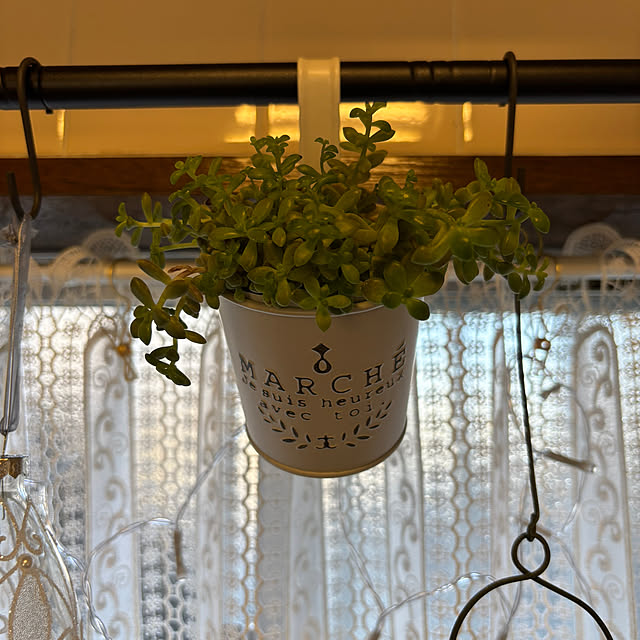 canetteさんの実例写真