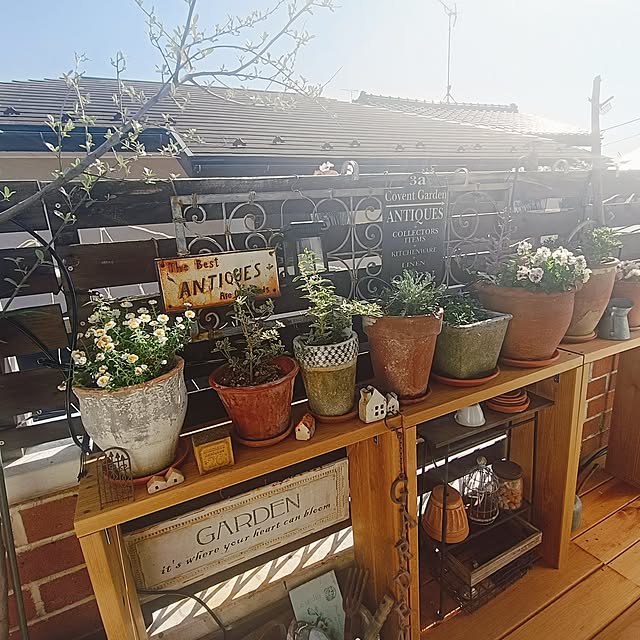 chikuwaさんの部屋