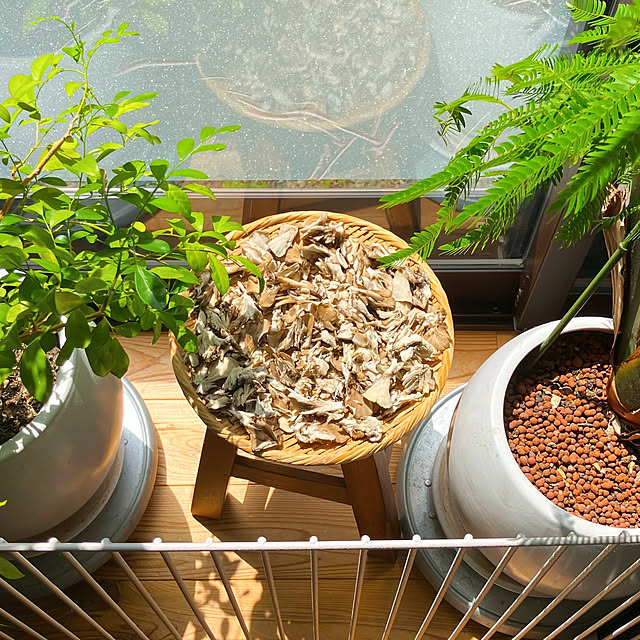 akanekoさんの実例写真