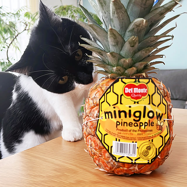 Yさんの実例写真