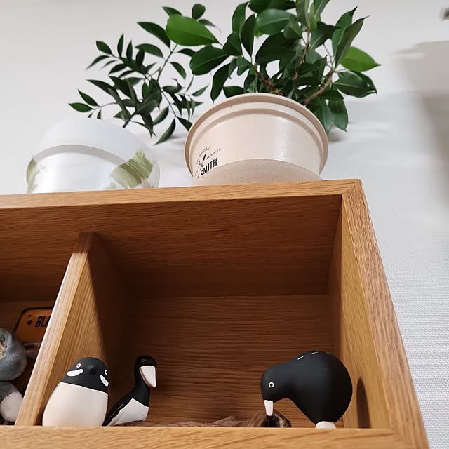 miisanさんの実例写真