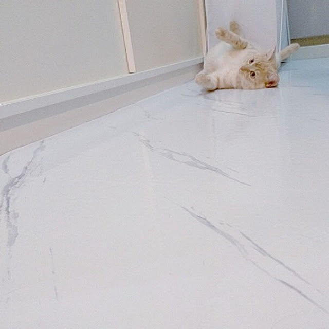 heart.emiemi57.whiteさんの実例写真