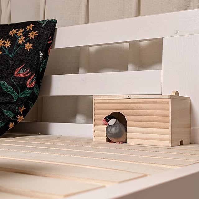 escargotさんの実例写真