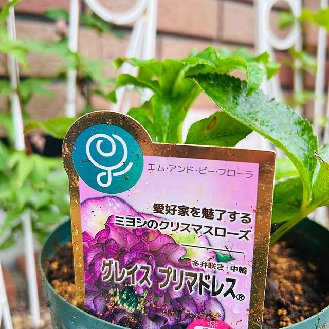 sunabaさんの部屋