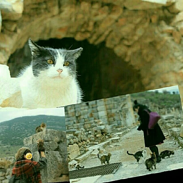 tamiさんの実例写真