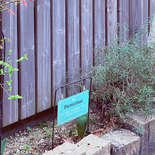 chacoさんの部屋