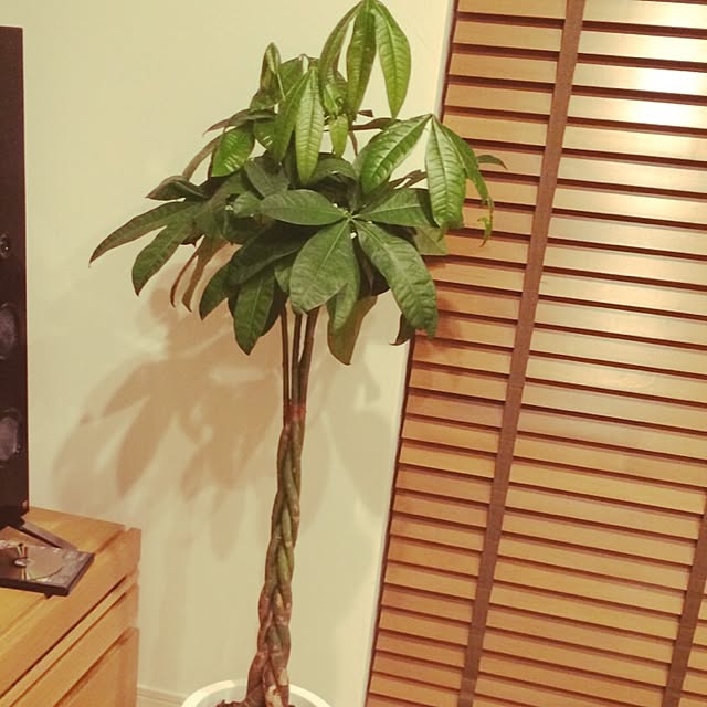 Erikoさんの実例写真