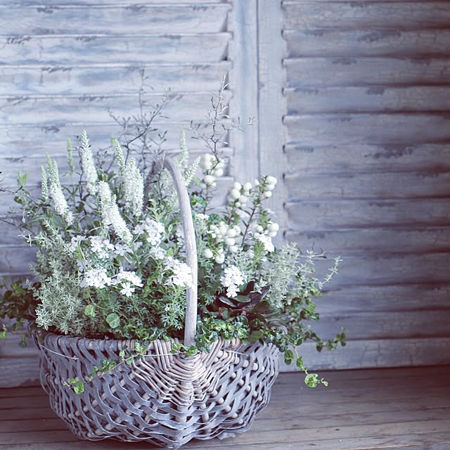 Junk_sweet_Garden_teftefさんの実例写真