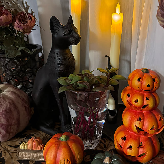 mamizaさんの部屋