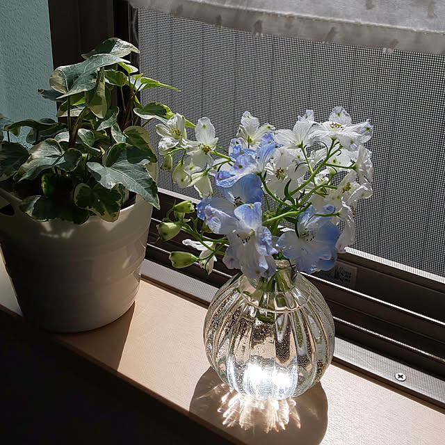 KOHAKUさんの実例写真