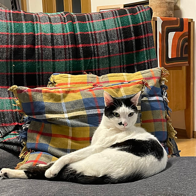 nobikoさんの部屋