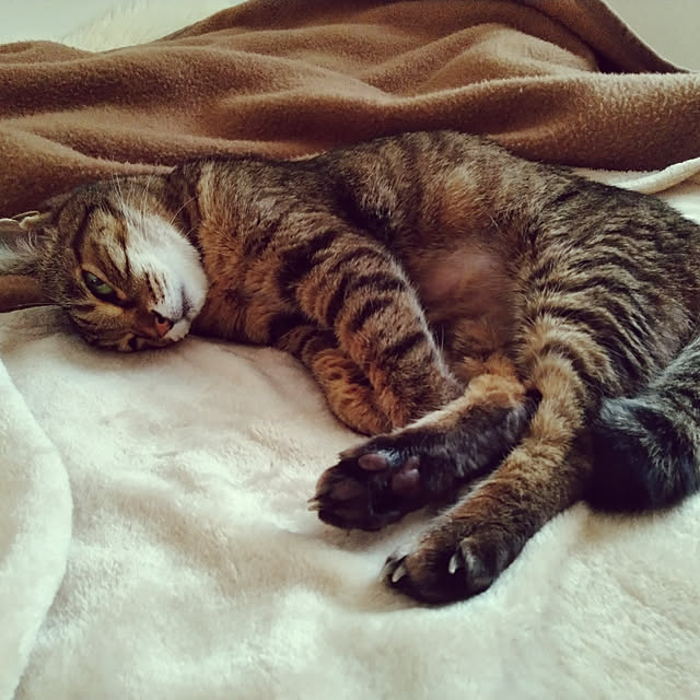lilyさんの実例写真