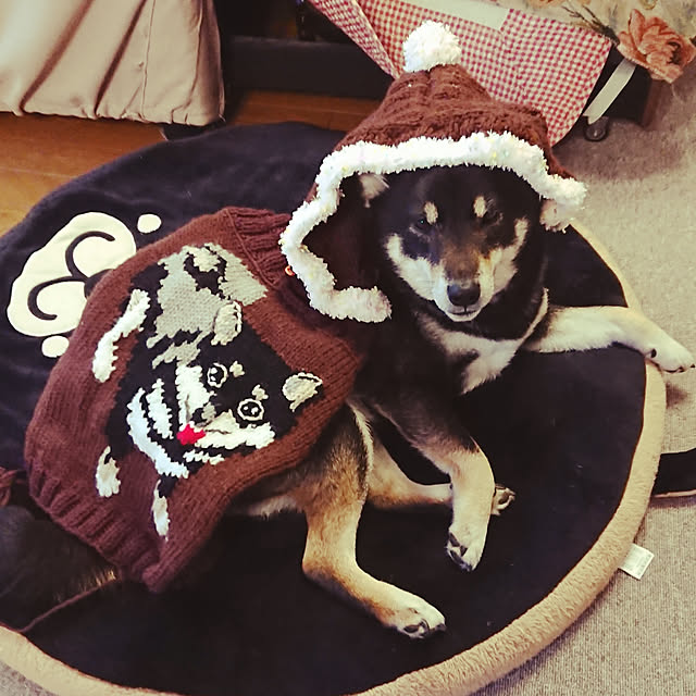 tsutawarimasuさんの実例写真
