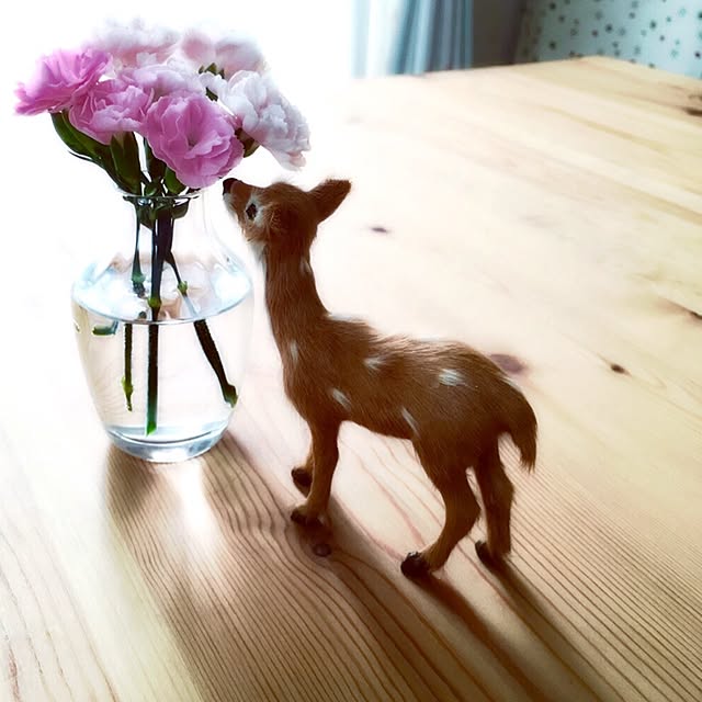 Michiさんの実例写真