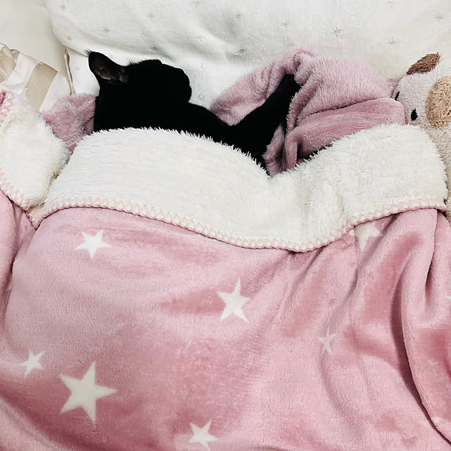 harukuumomiさんの実例写真
