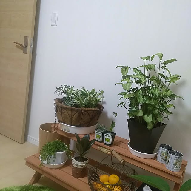 実例写真