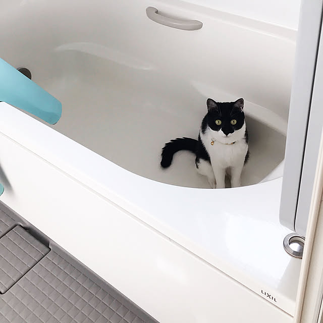 Yさんの実例写真