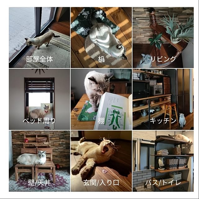 Atelier_tamakiさんの実例写真