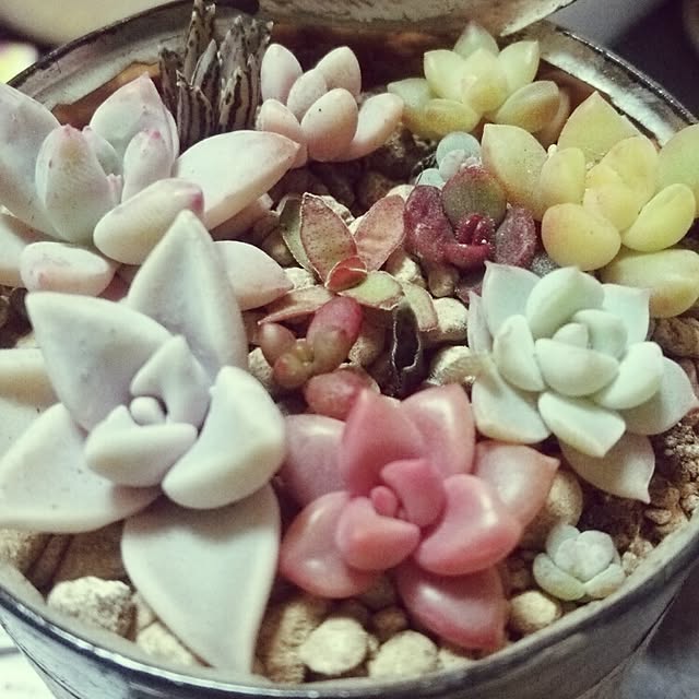 satousannnさんの実例写真