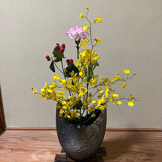 sakakenさんの実例写真