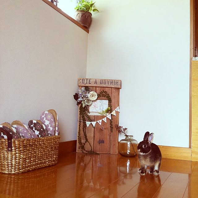 kayoさんの実例写真