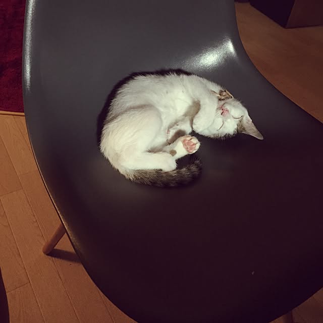 hanakanmuriさんの実例写真