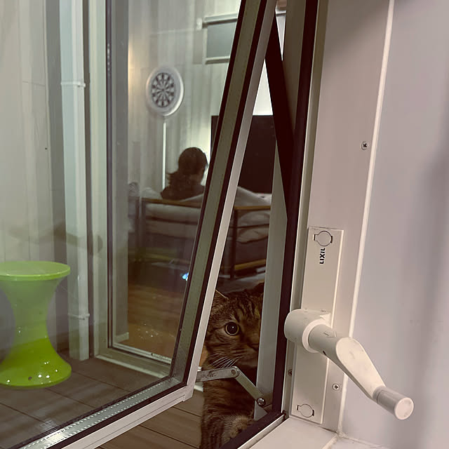 Azさんの実例写真