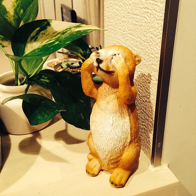 tanikunosukeさんの実例写真