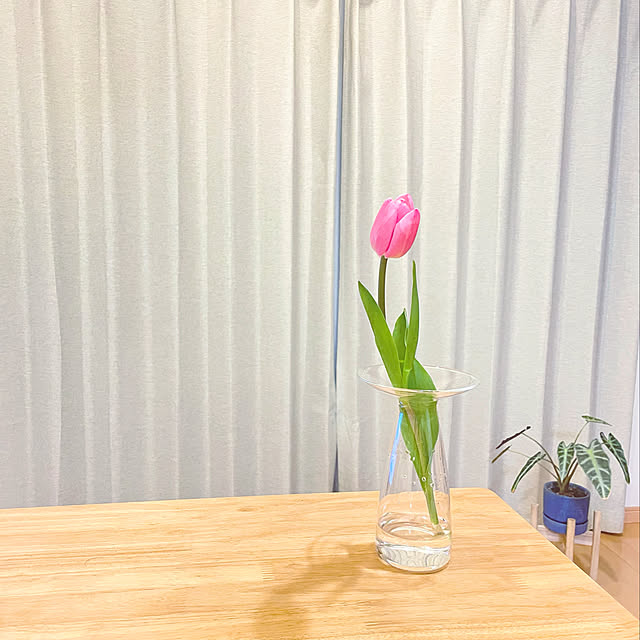 mikiさんの実例写真