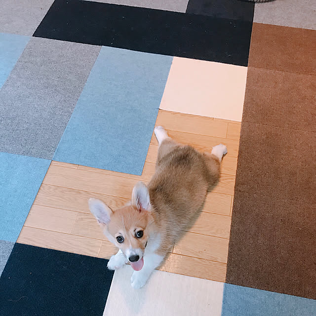 lapin0930さんの実例写真
