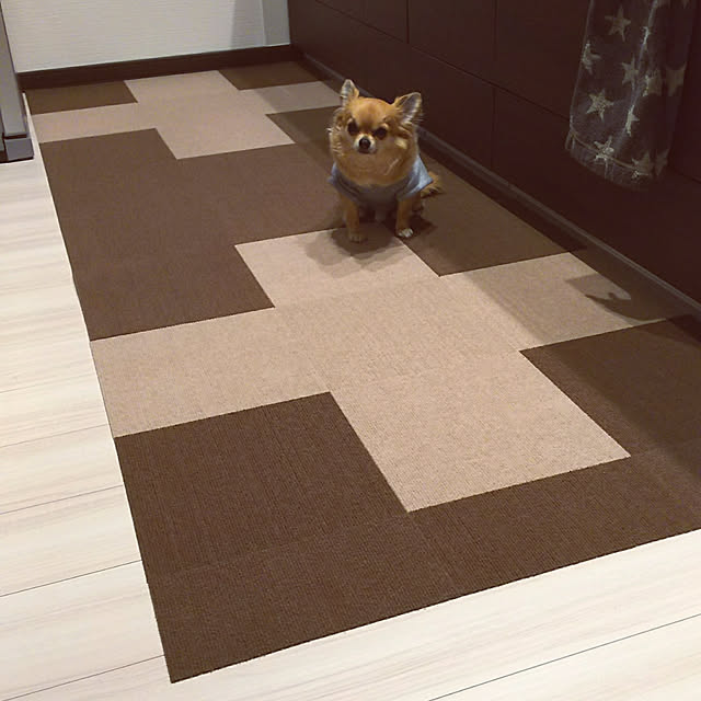 kojikojiさんの実例写真