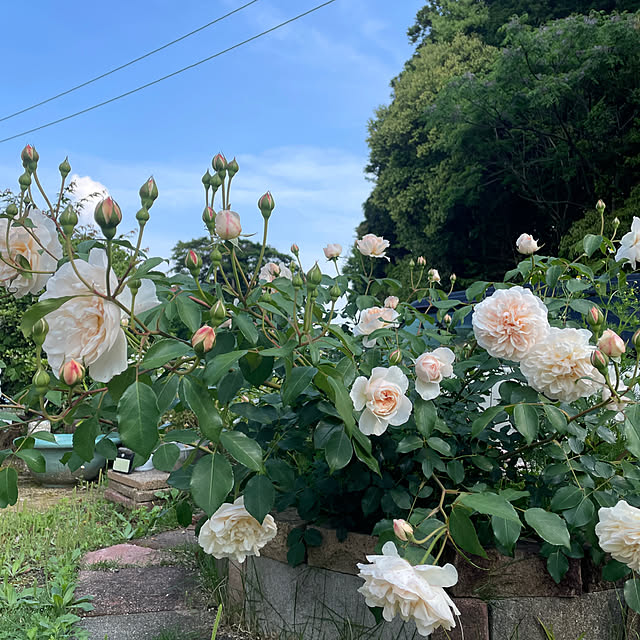 328さんの部屋