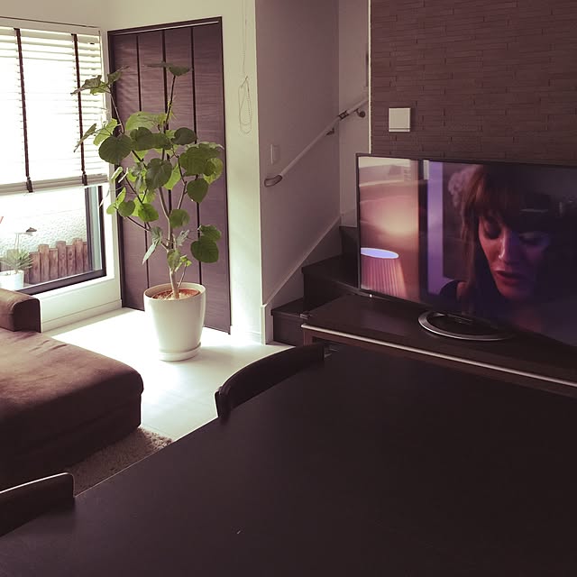 miniさんの実例写真